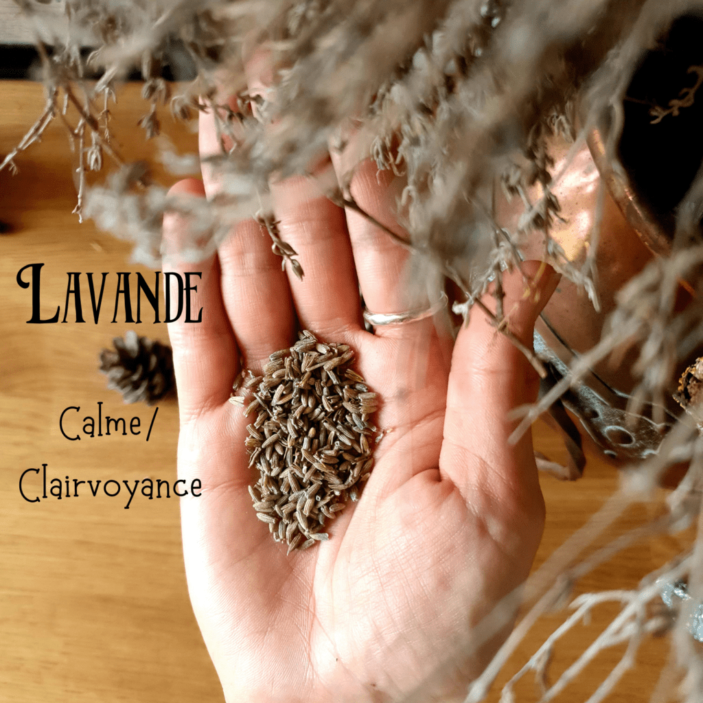 Les Petits Chaudrons - Self love spell jar
