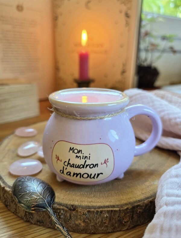Mini mug chaudron d'amour - Les petits chaudrons